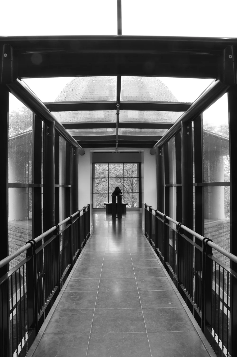 2015-05-31 09.20.40-1.jpg