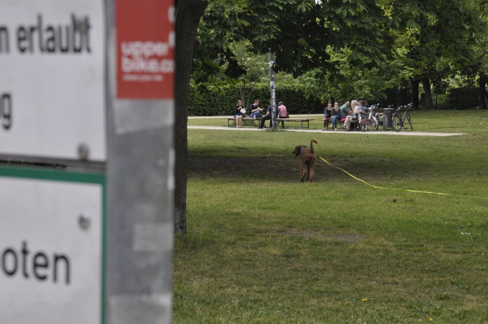 2015-06-03 07.15.33.jpg