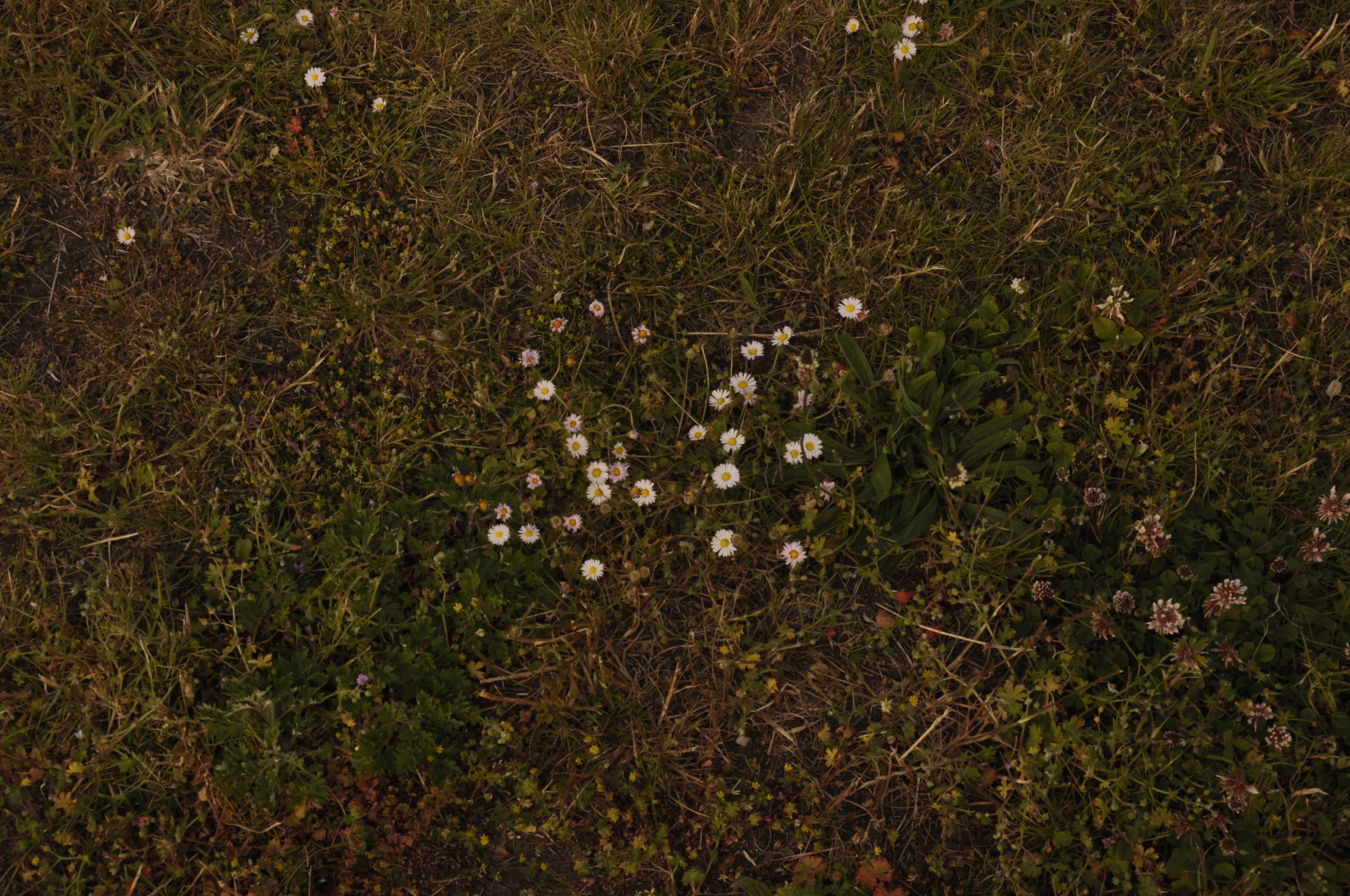 2015-06-03 11.30.36.jpg