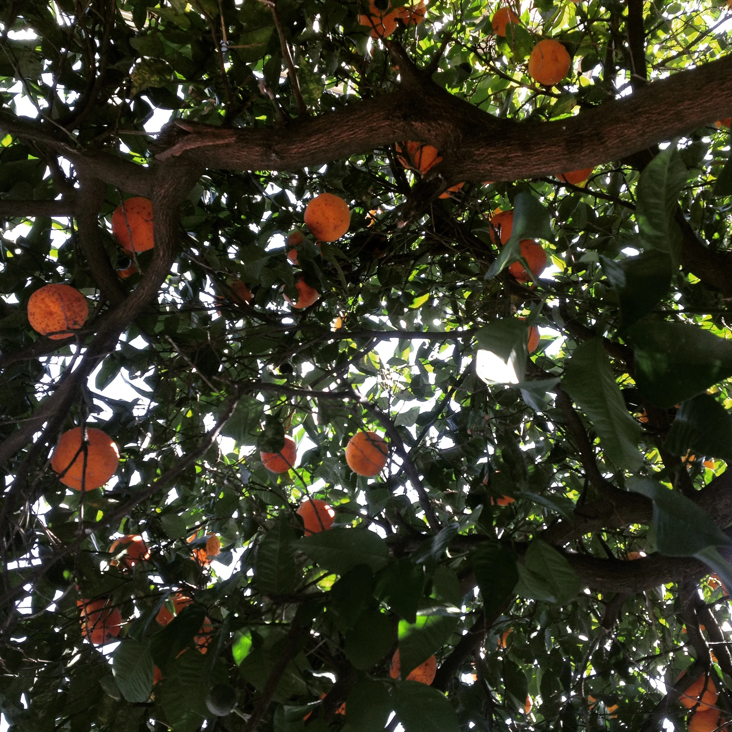 2015-06-28 15.31.57-1.jpg