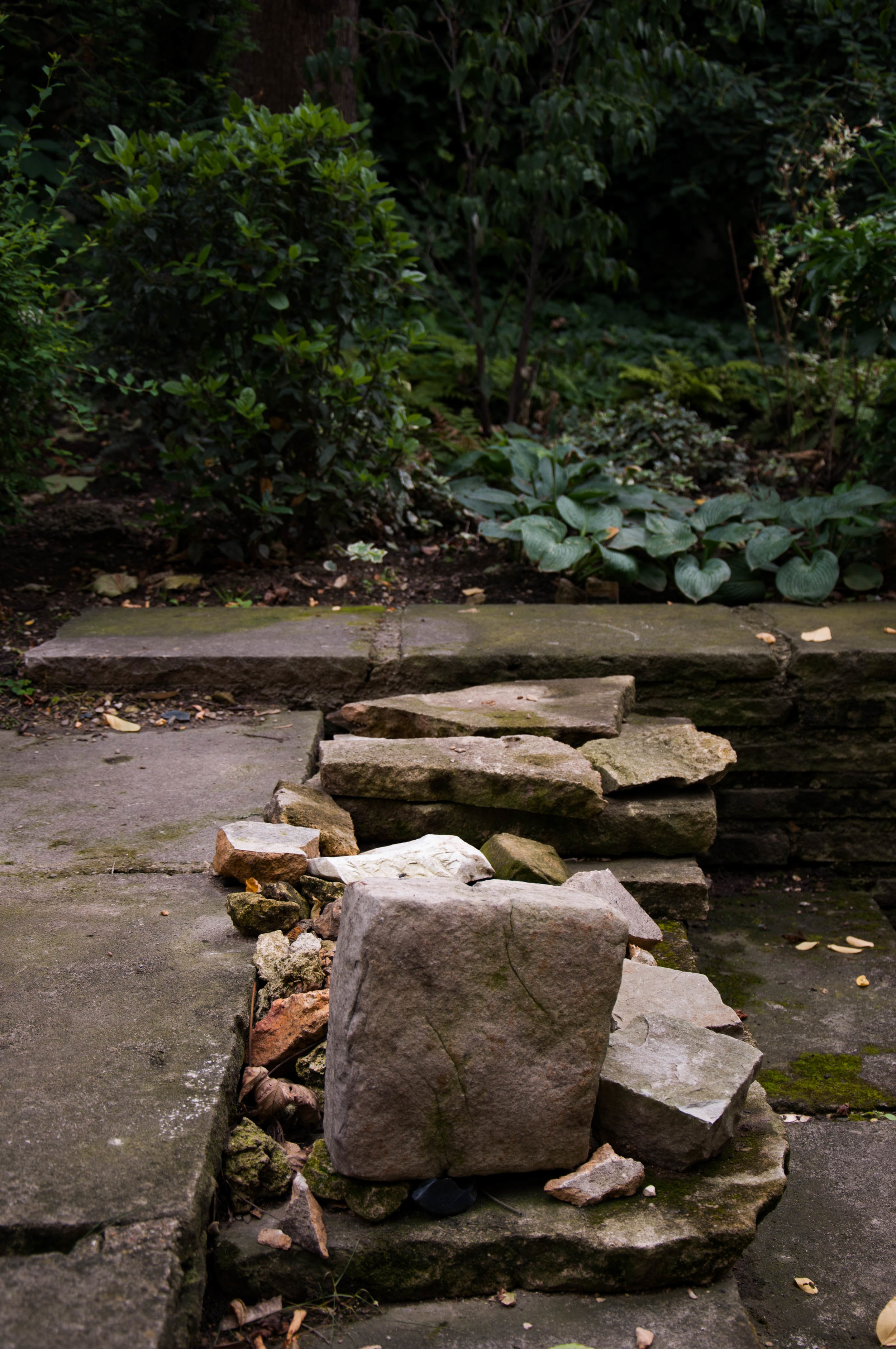 20160721-_DSC0601.jpg