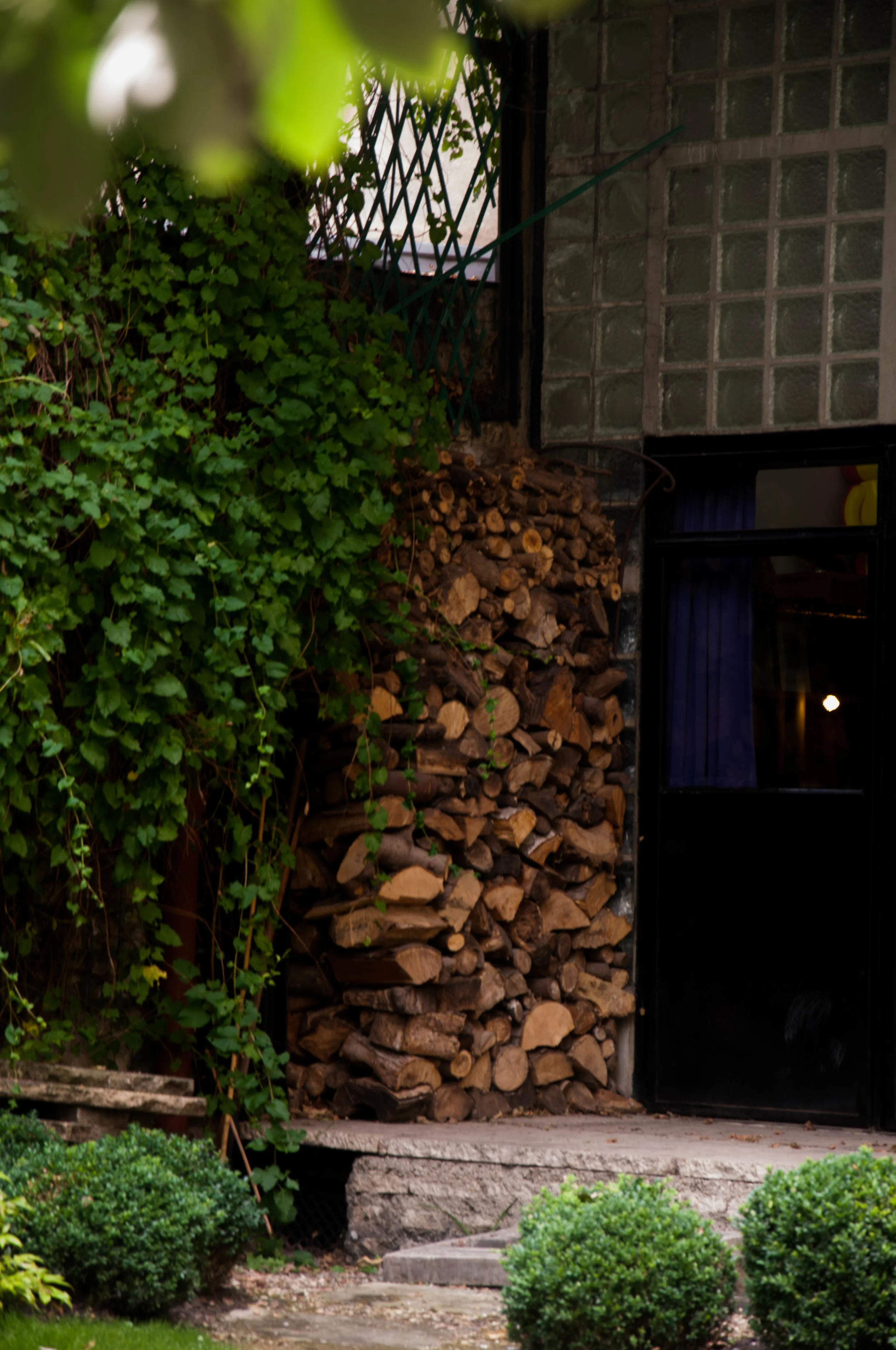 20160721-_DSC0607.jpg