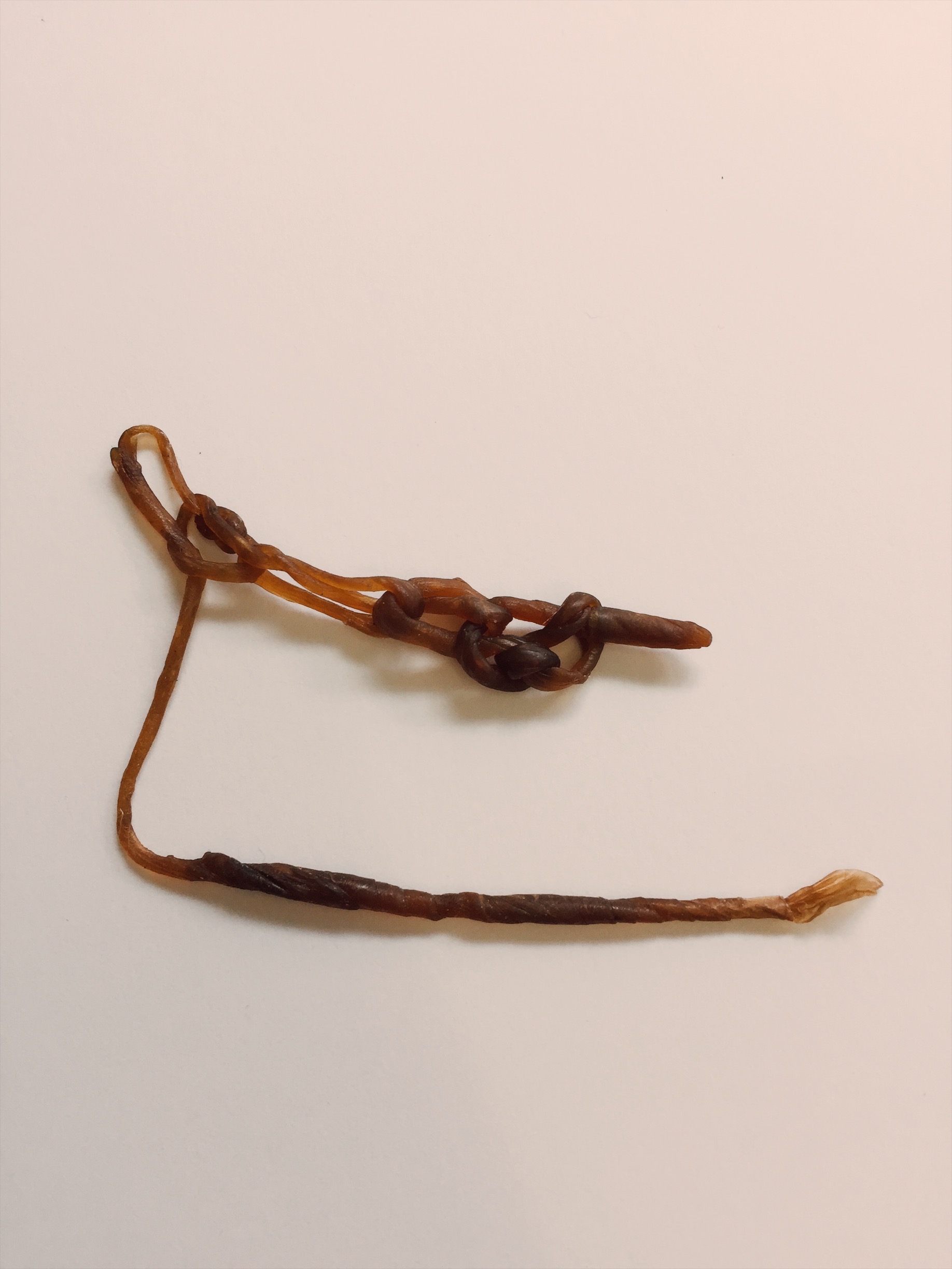 Crochet with Rolled Kombucha Yarn