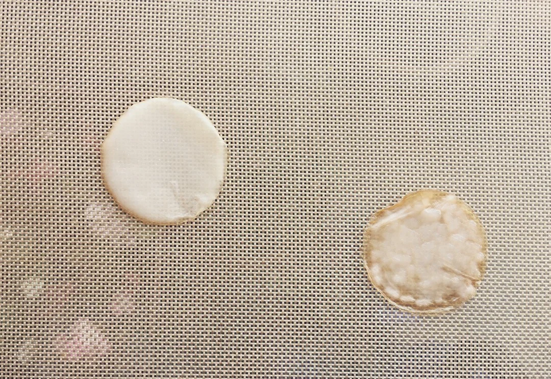 Kombucha Sheet Drying 09.10.2017 18:00
