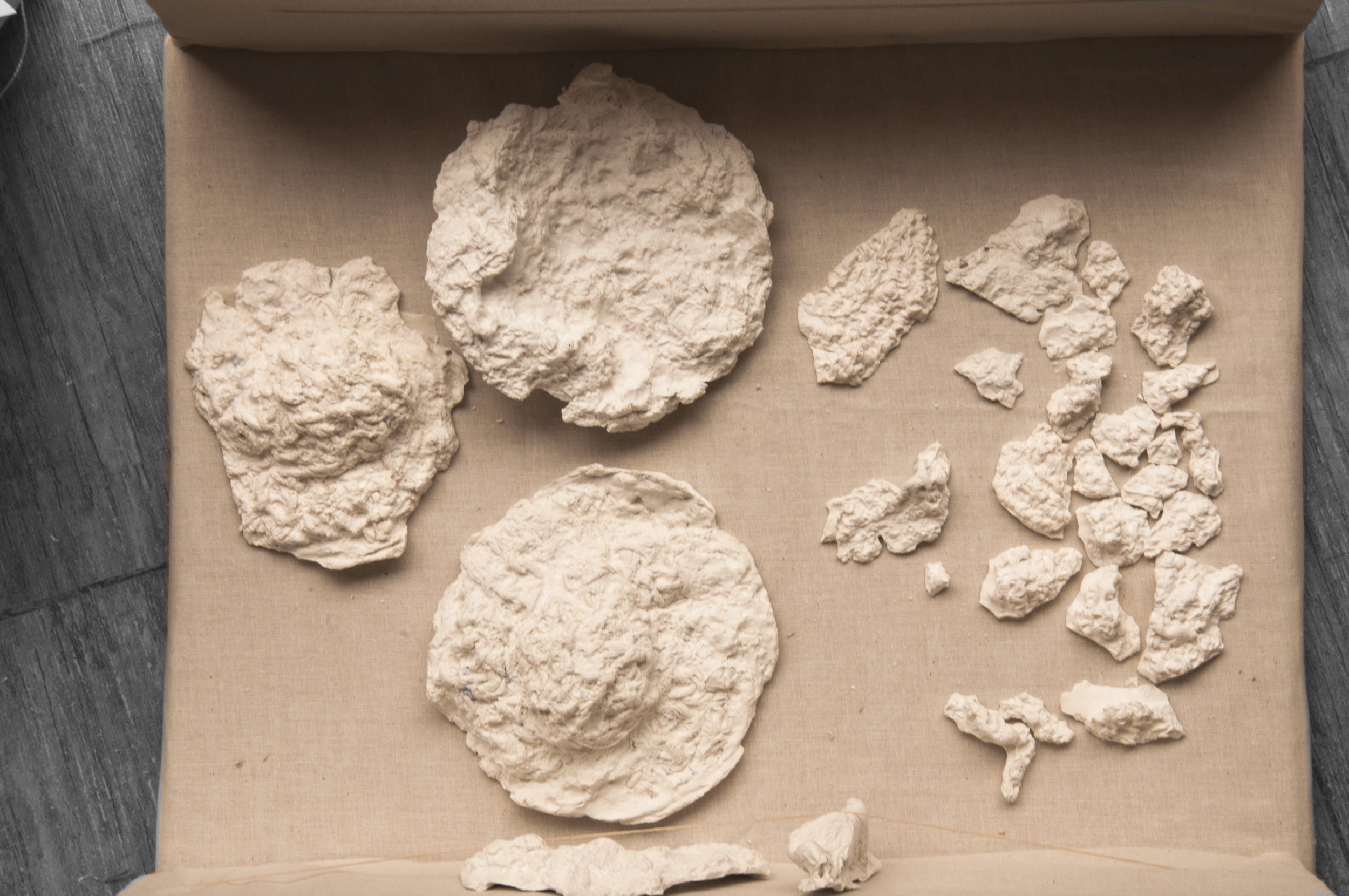Plaster Casts of Crochet