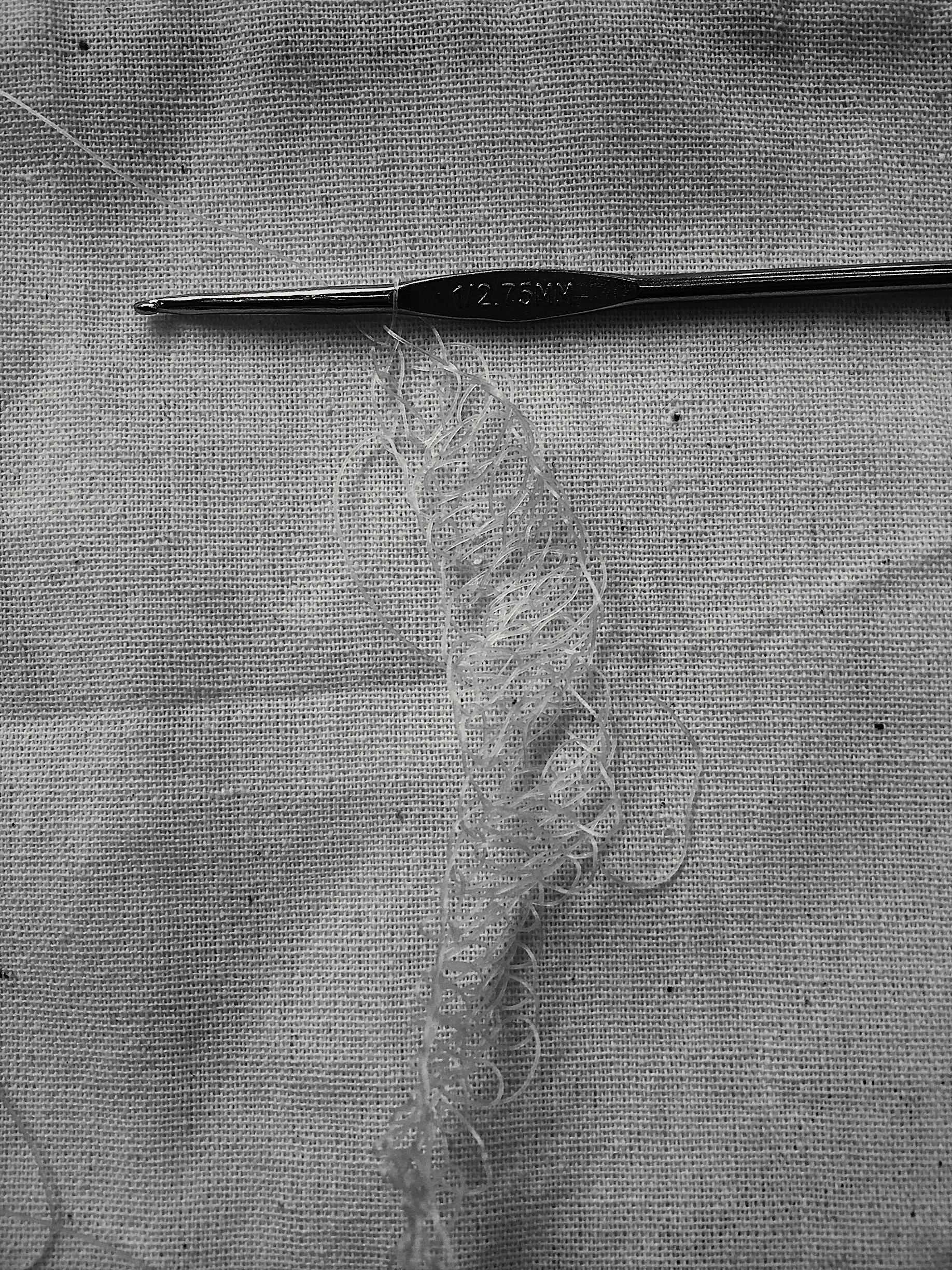 AlgiKnit 1