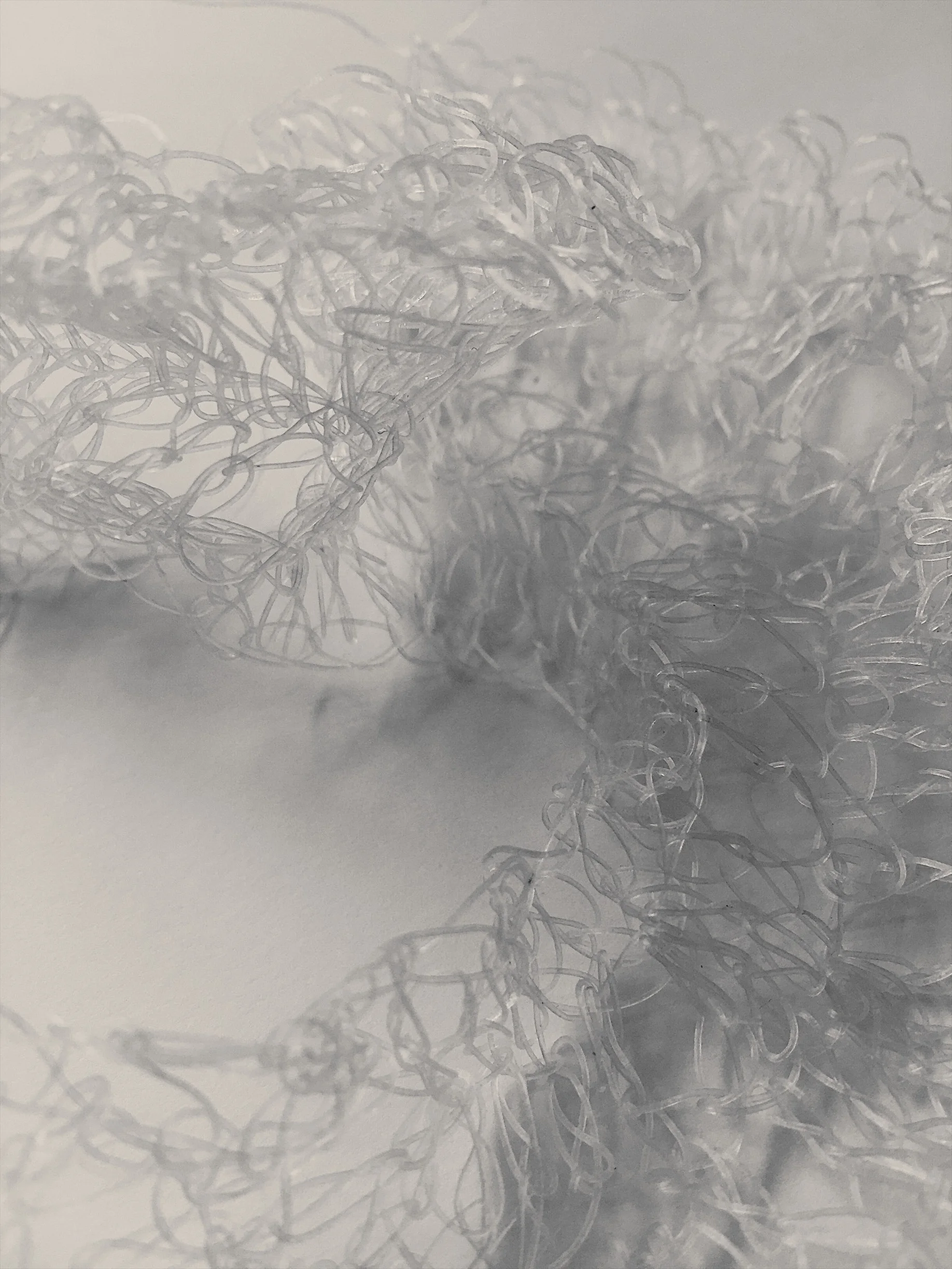 AlgiKnit#1 Study Close-up