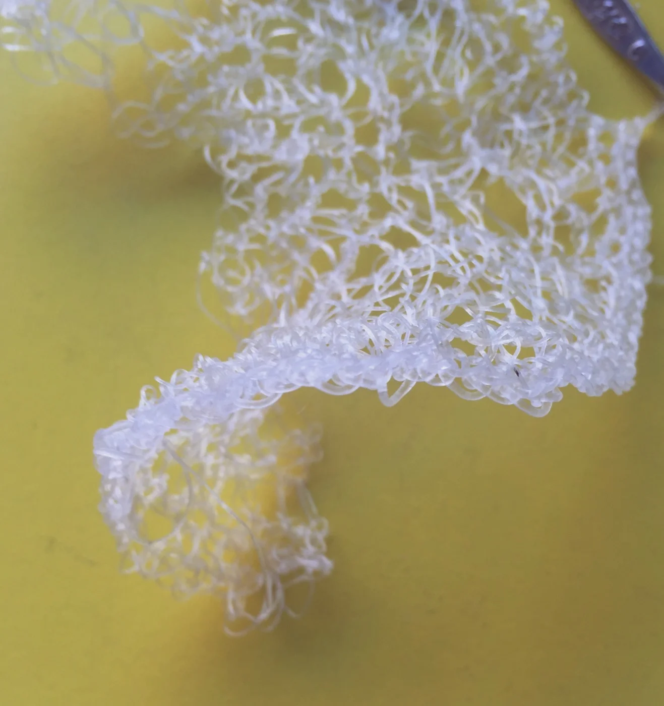 AlgiKnit III Work in Progress