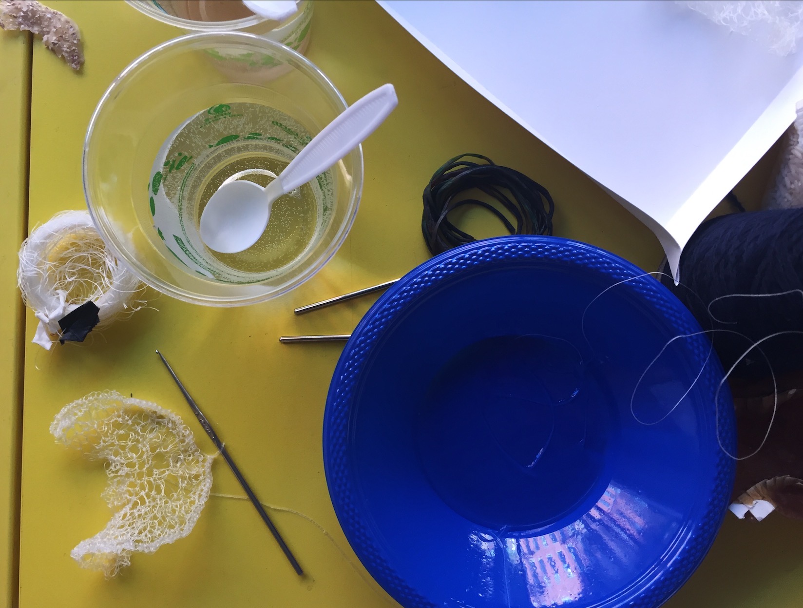 Close-Up of the Working Process with AlgiKnit