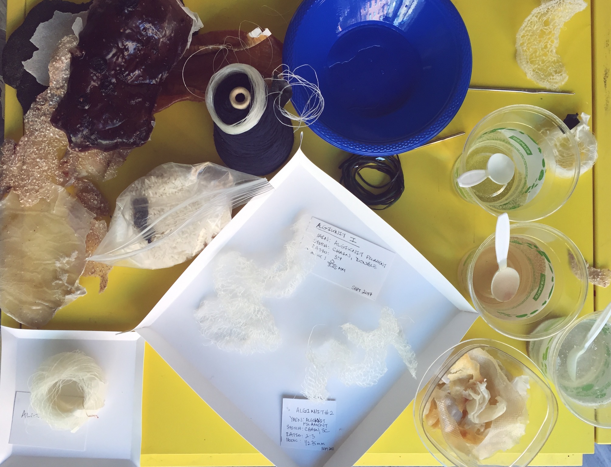 Biomaterial Textile Futures with AlgiKnit