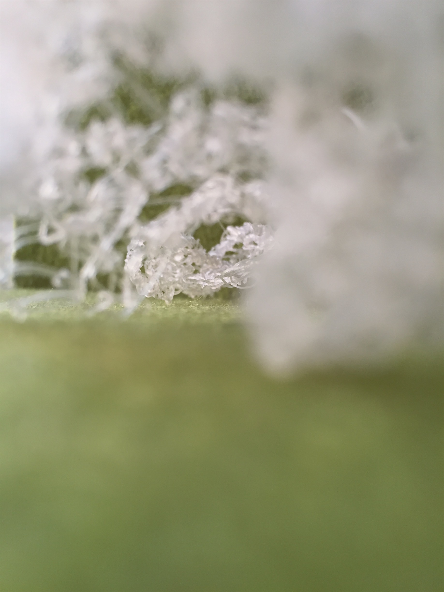 Detail of AlgiKnit III