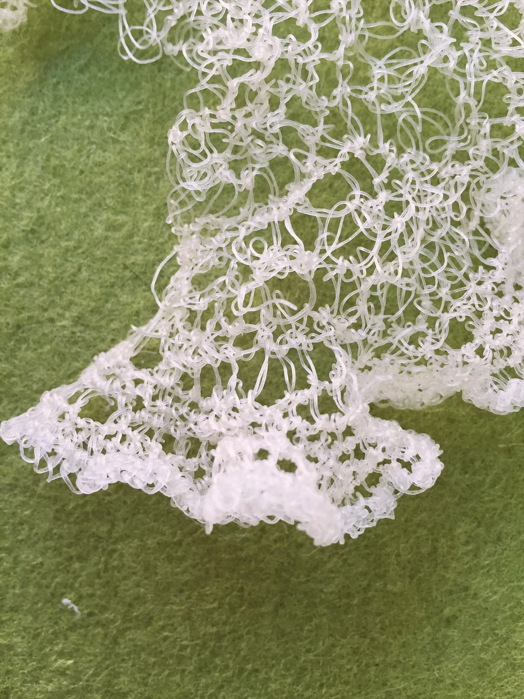 AlgiKnit III Detail