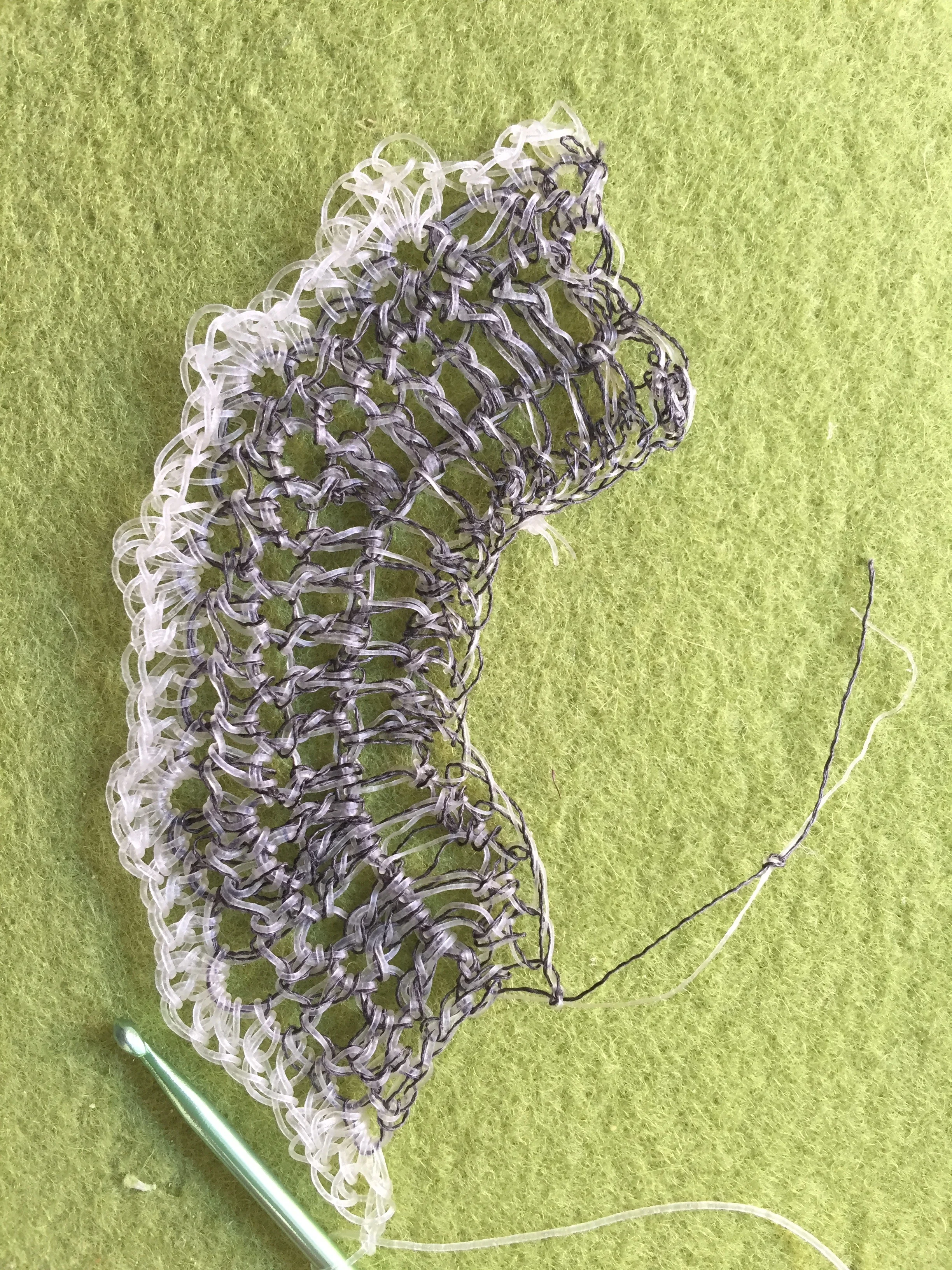 AlgiKnit IV
