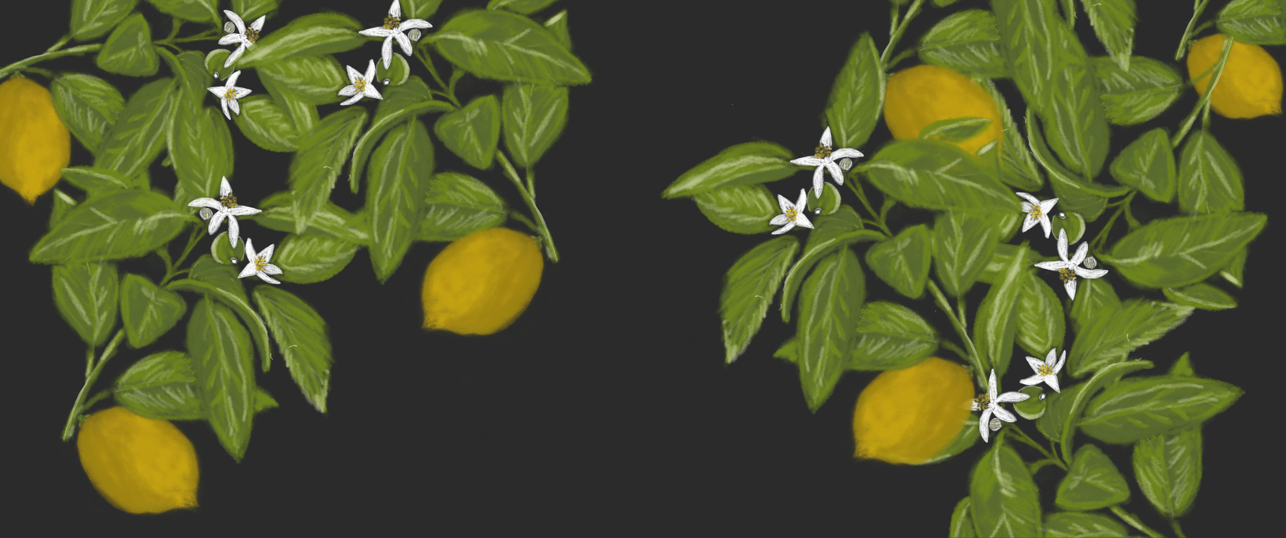 Citron