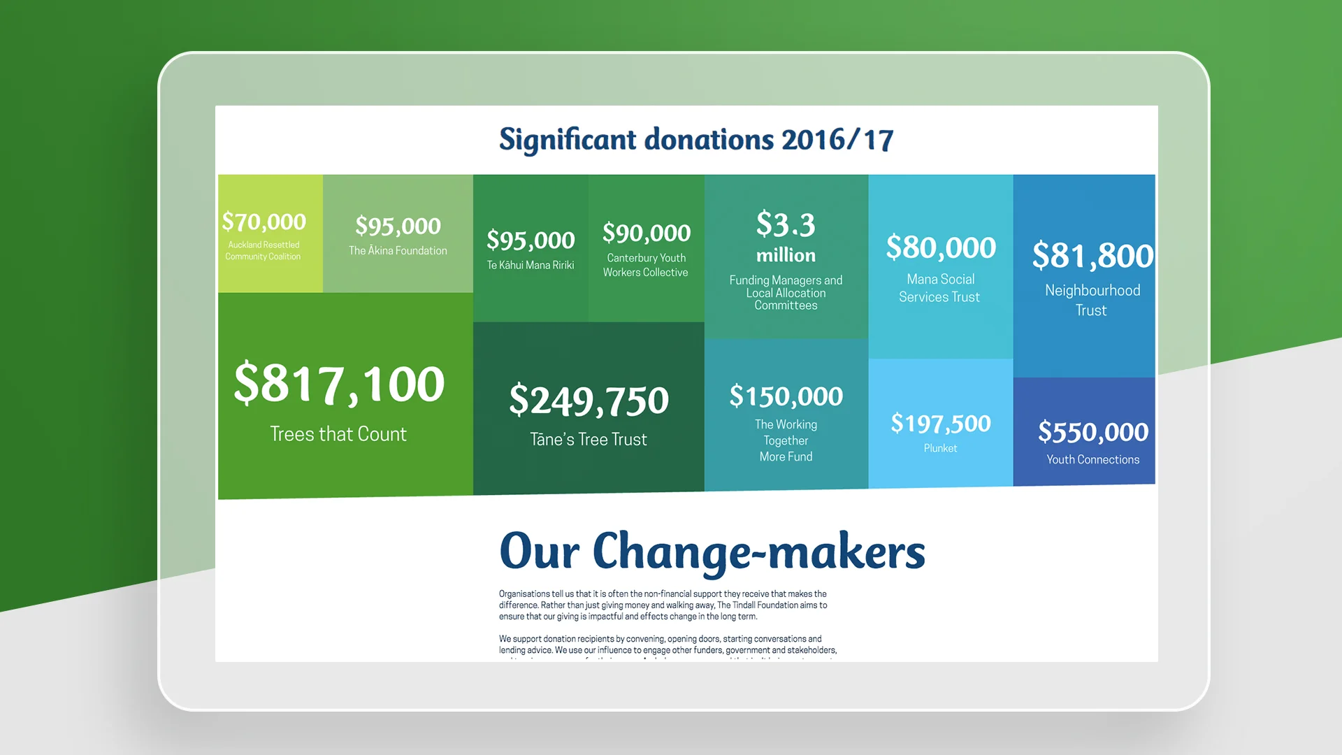 Tindall_Annual Report_003.jpg