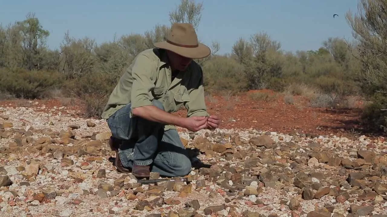 Fossicking for Fun in Chinchilla