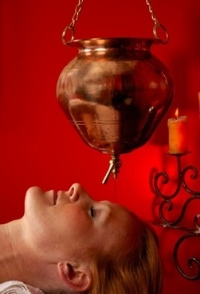 Houston Ayurveda Center