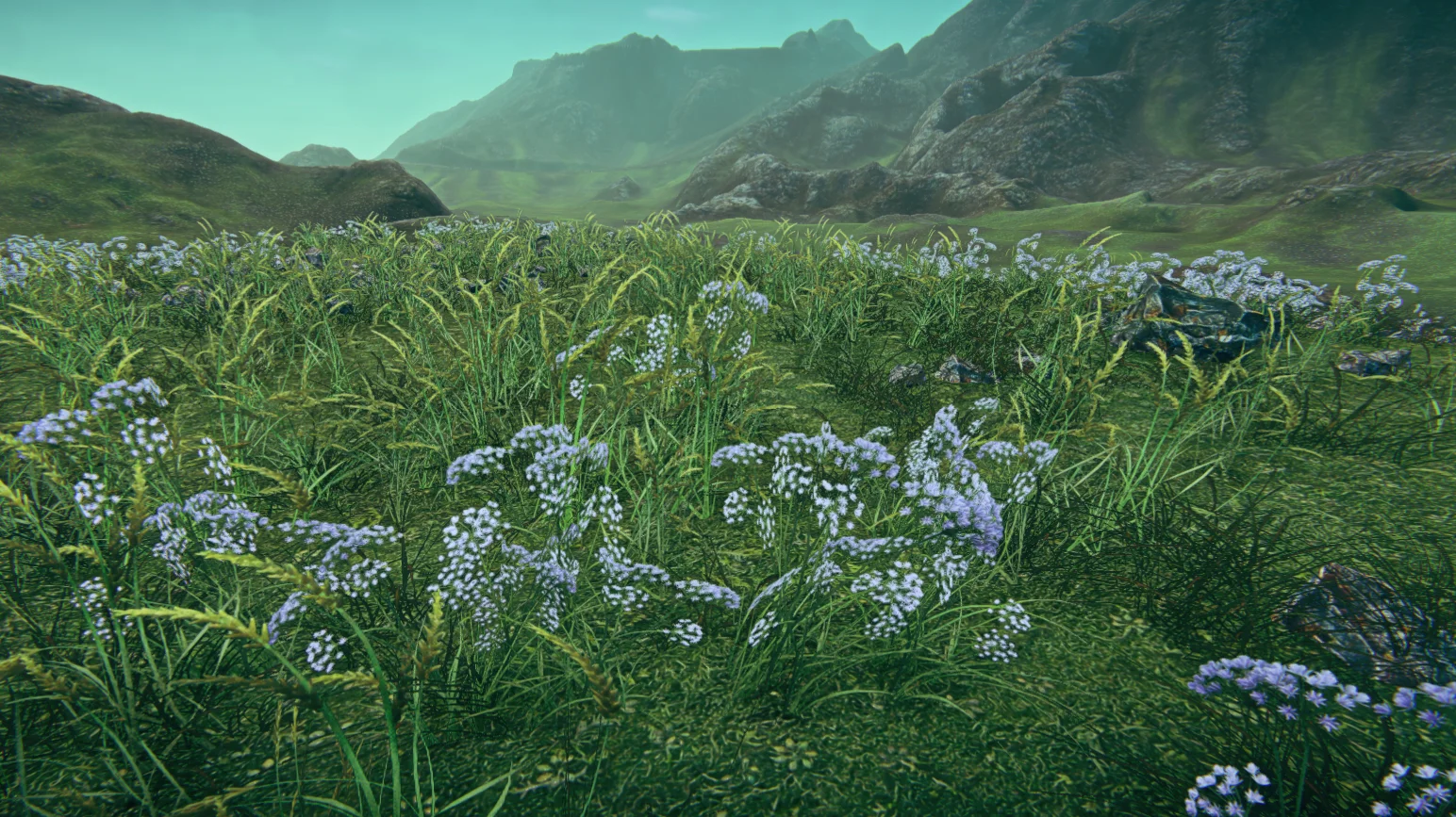 flora3.jpg