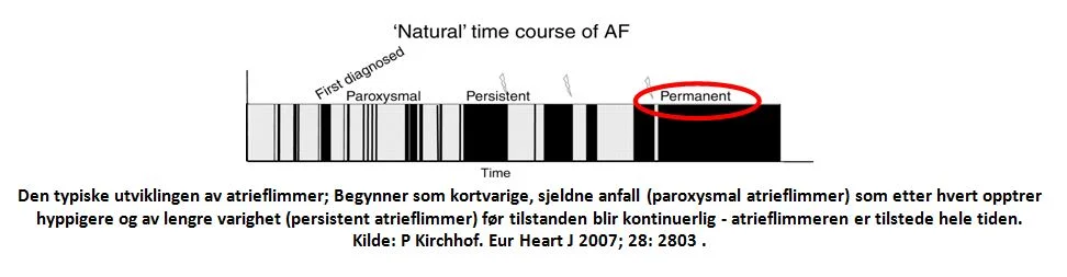 www.forskerlivet.no