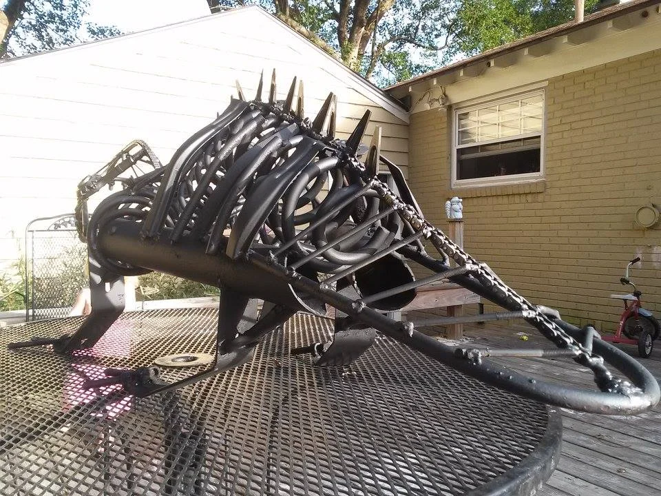 gatorfrombehind.jpg