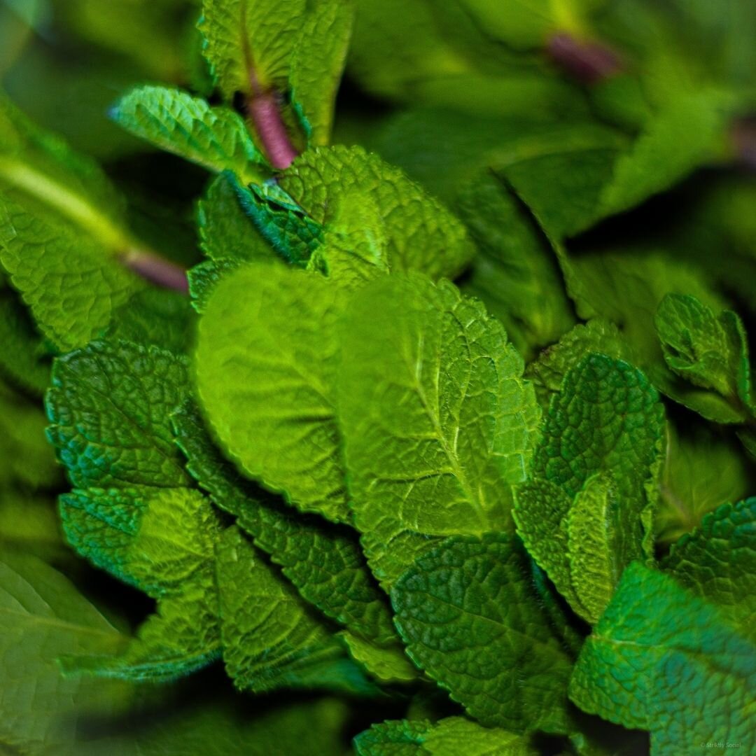 Mint: Making breaths fresh and dishes cool since forever! 🌱 Whether it's jazzing up your mojito or sneaking into your tea, mint's the coolest herb on the block.

#frenchasianfusion #thehagueflavors #fusioncuisine
#denhaagdining #culinarycrossroads #