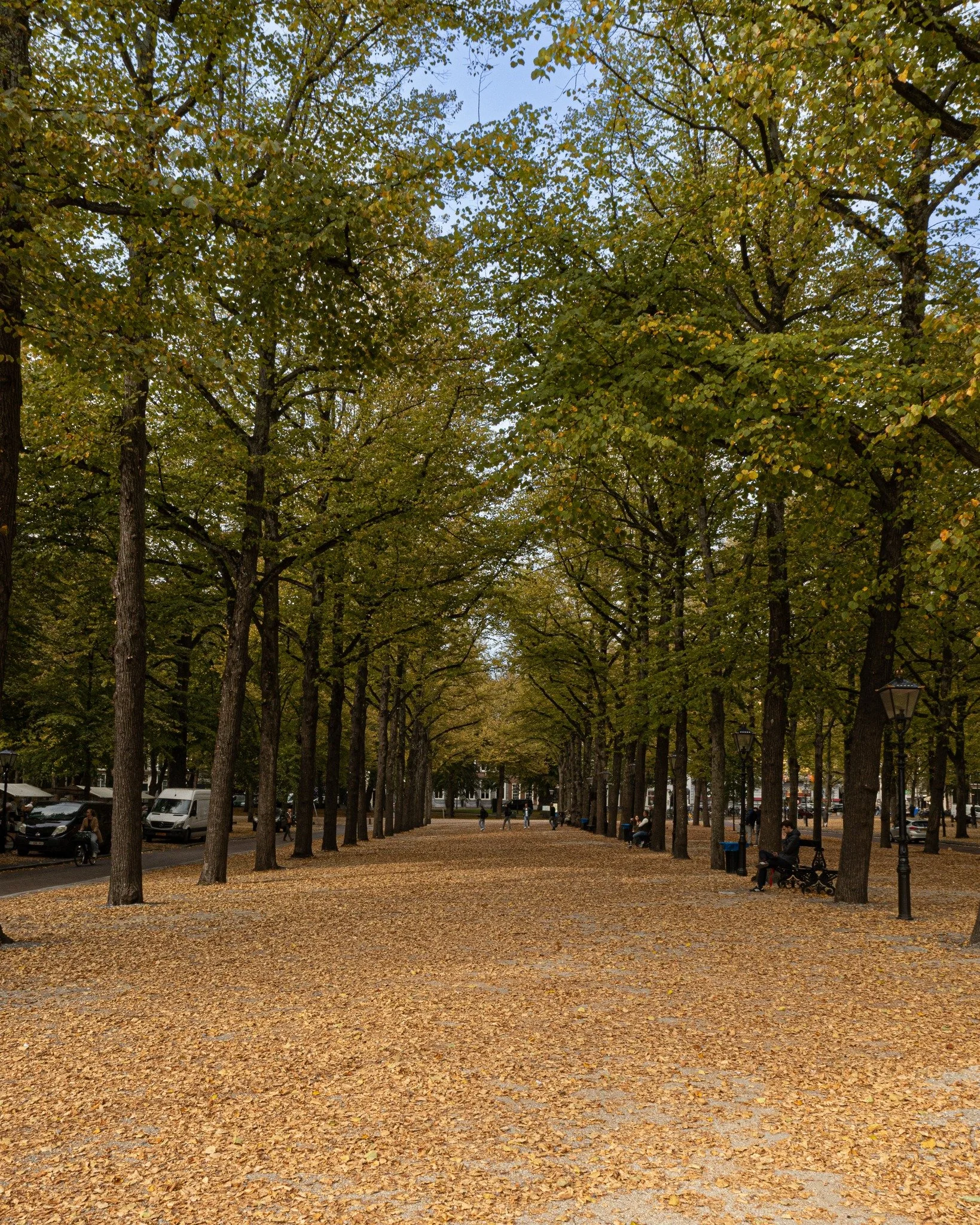 Leaves are falling, candles are glowing &mdash; Lange Voorhout is slipping into something a little more autumn.
.
.
📸 @striktly_social 
#denhaag #woxmoments #langevoorhout #fallvibes #autumnindelhaag #restaurantvibes #cozydinner #sharedining #wox