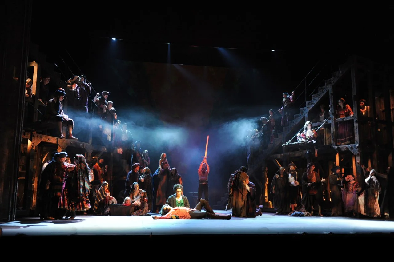 Azucena in Il trovatore Opéra Royal de Wallonie, 2011