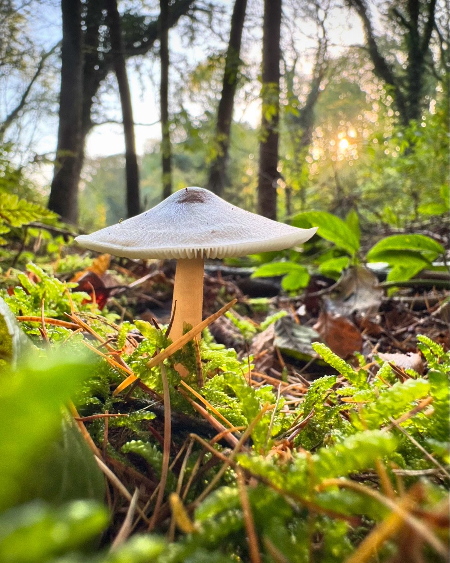 Herfstwandelen rond het Geuldal. 

Genieten vanuit ons huisje.