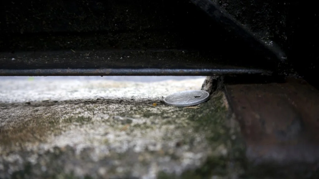 Une pièce de monnaie de Monsieur Risso, 2012-13