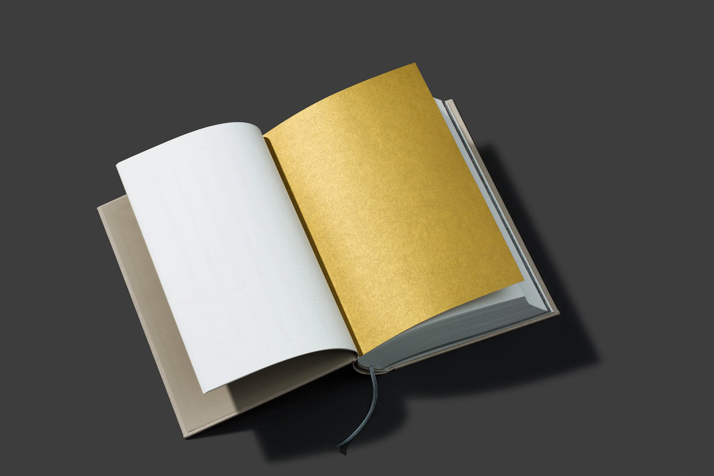 worthless_book_04.jpg