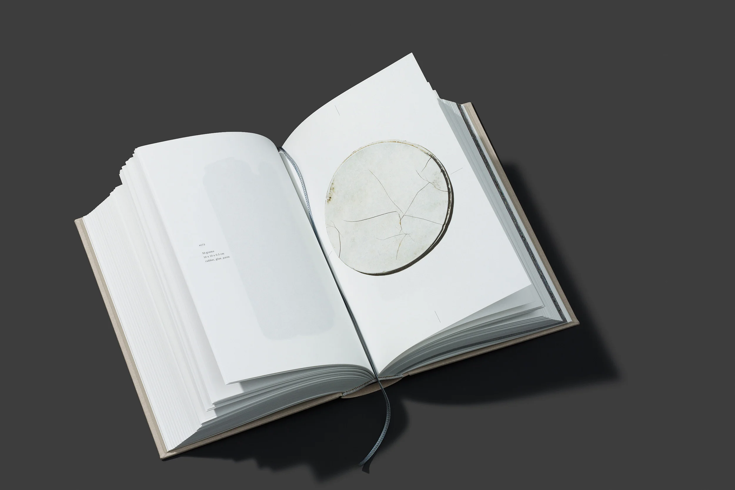 worthless_book_06.jpg