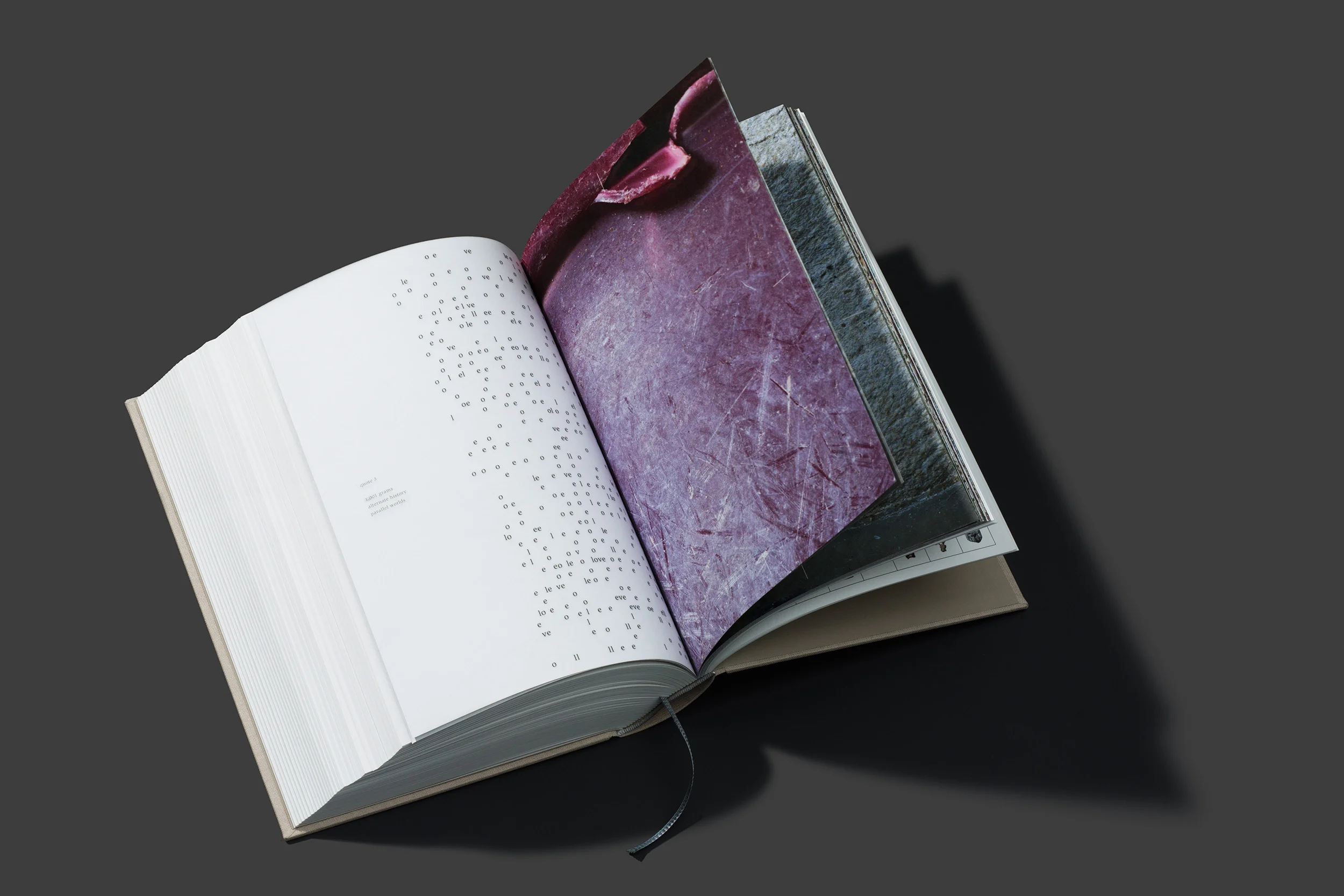 worthless_book_09.jpg