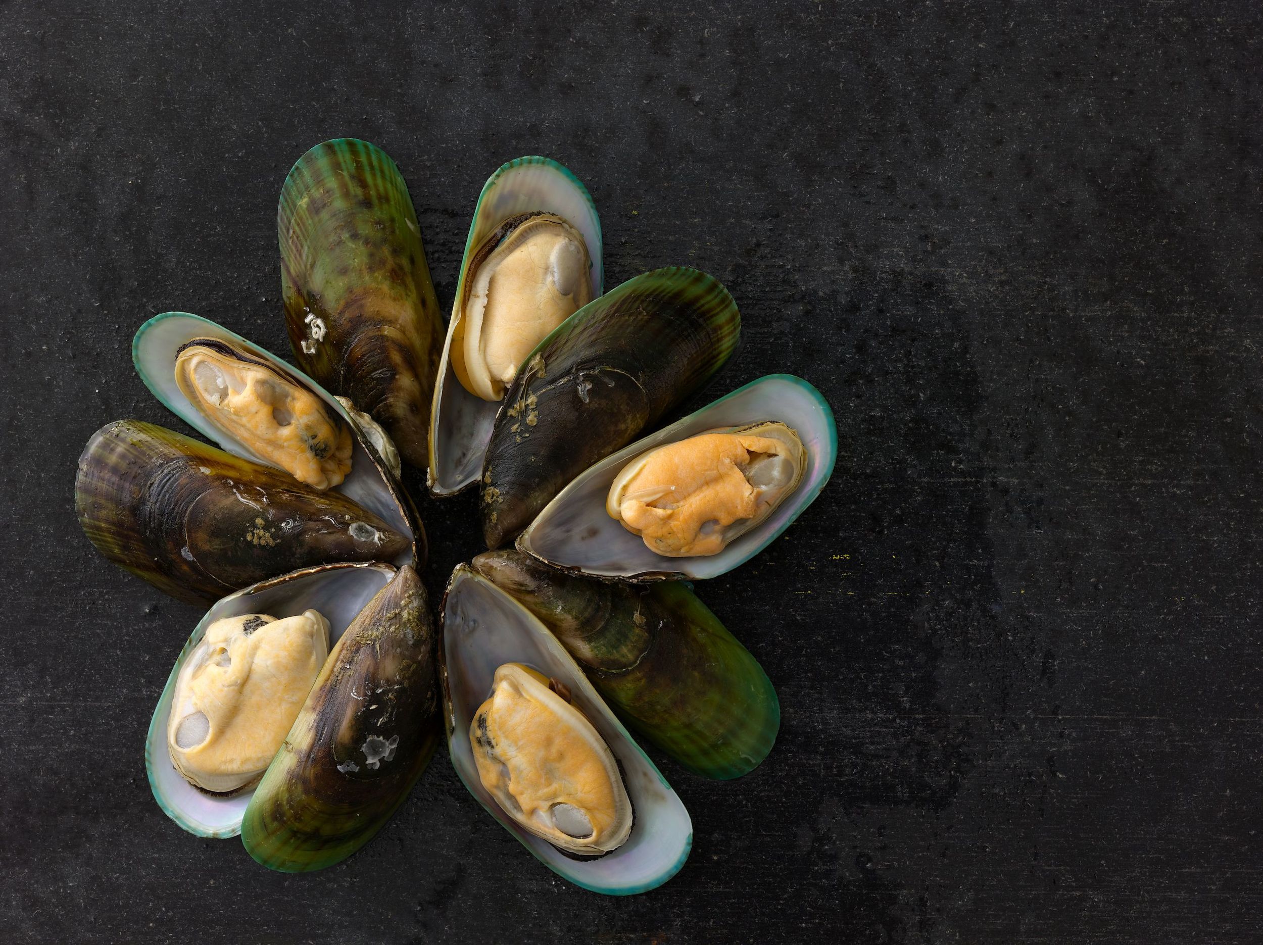   Excellence &amp;&nbsp;Responsibility    PREMIUM SEAFOOD    New Zealand Mussels  