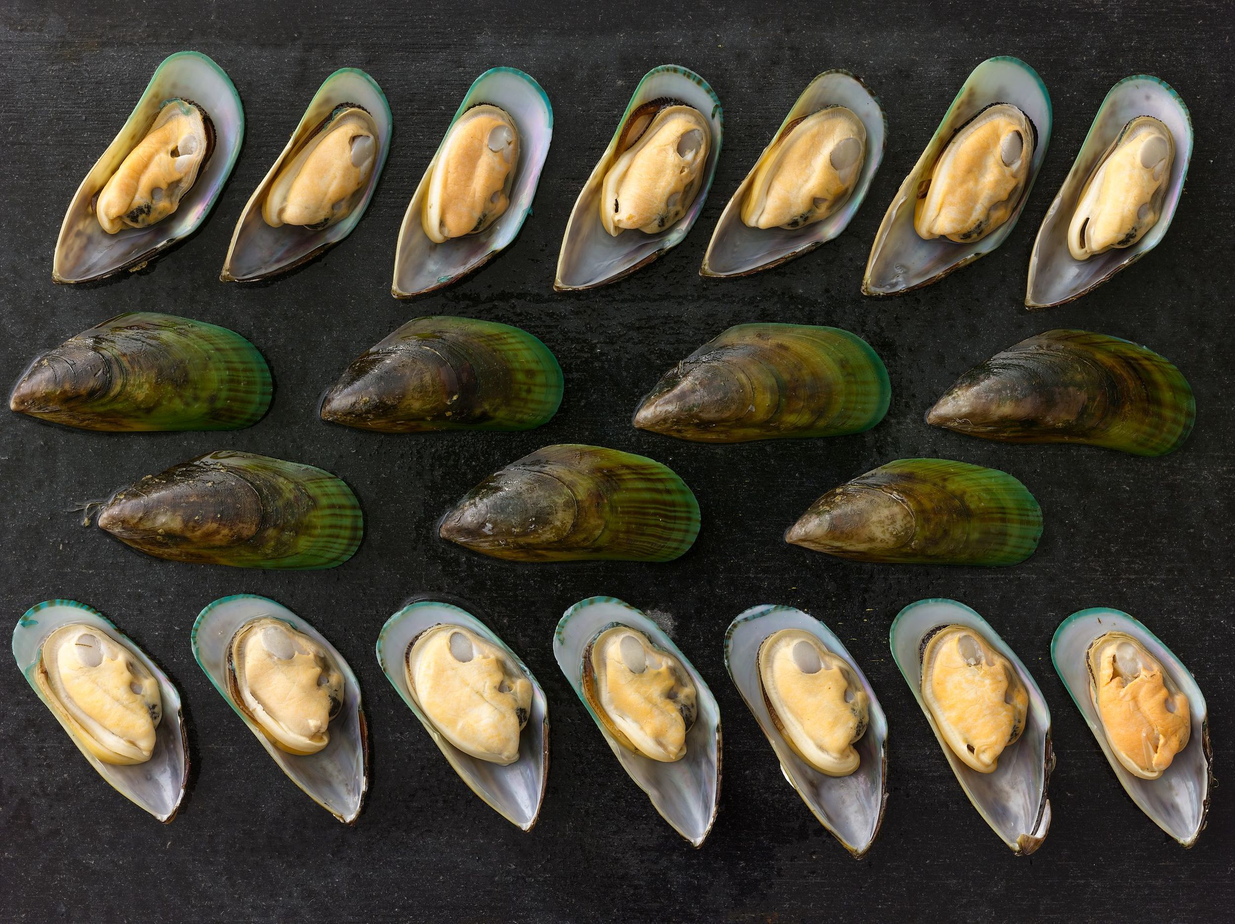   Excellence &amp;&nbsp;Responsibility    PREMIUM SEAFOOD    New Zealand Mussels  