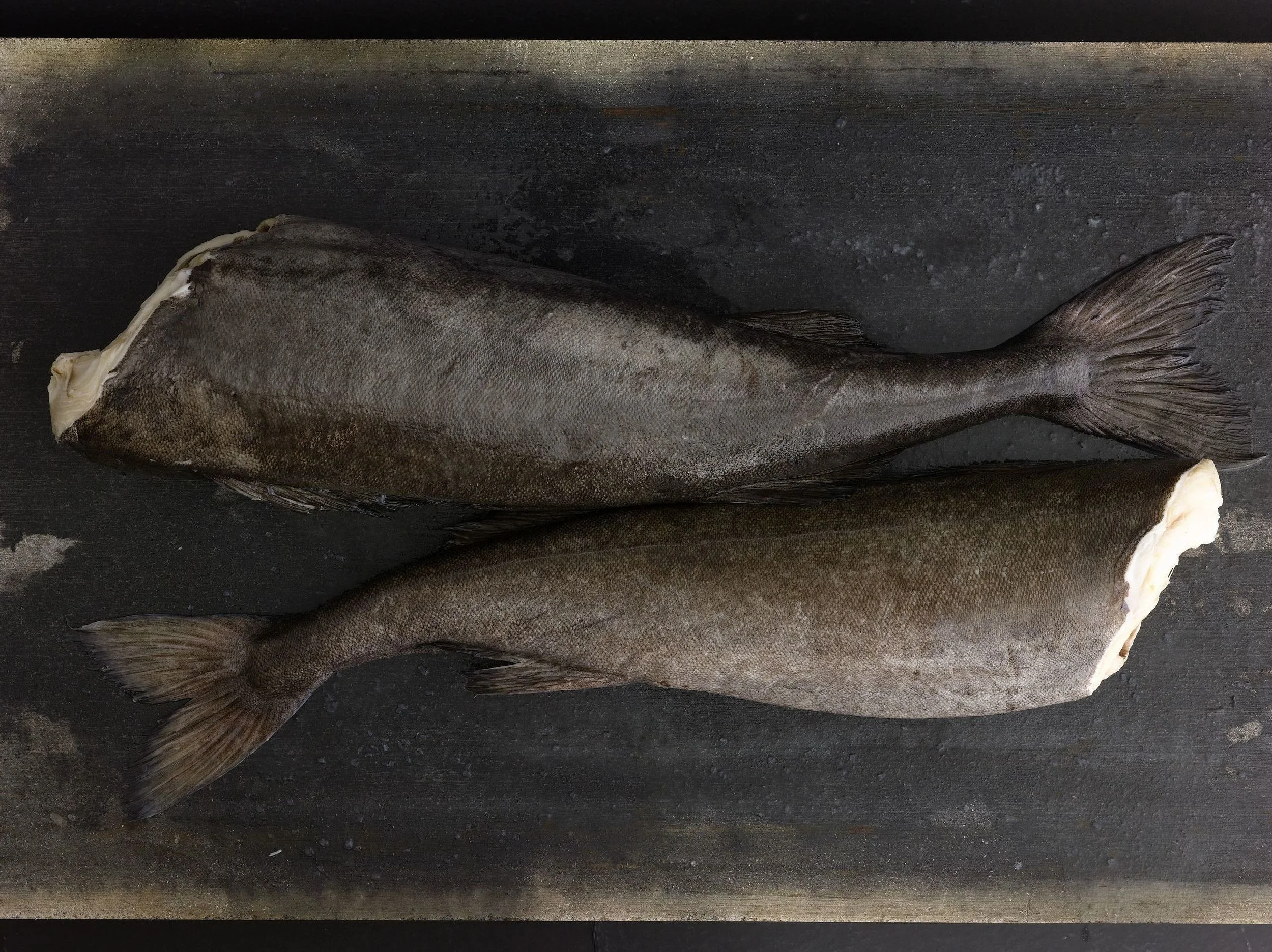 Excellence & Responsibility PREMIUM SEAFOOD Sablefish/Black Cod