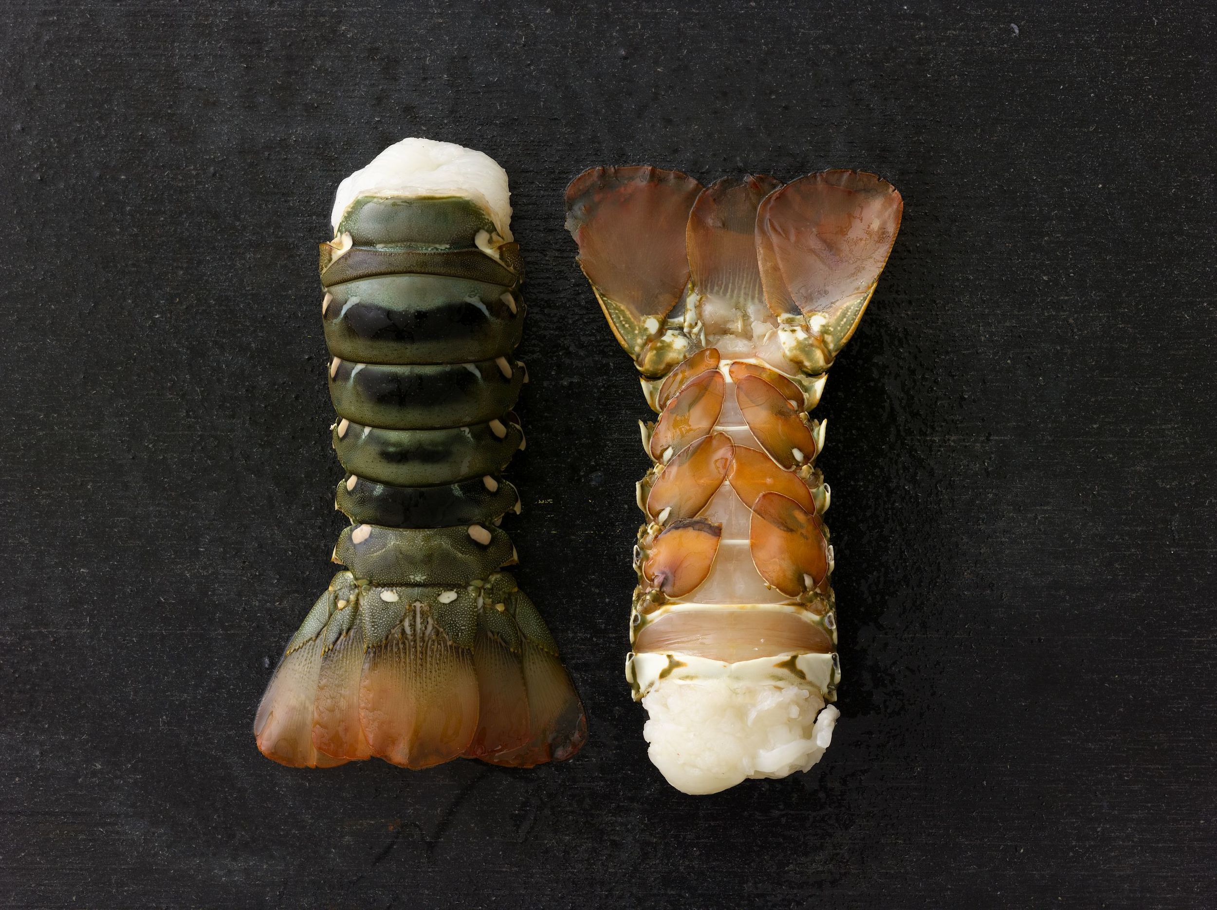   Excellence &amp;&nbsp;Responsibility    PREMIUM SEAFOOD    Lobster Tails  