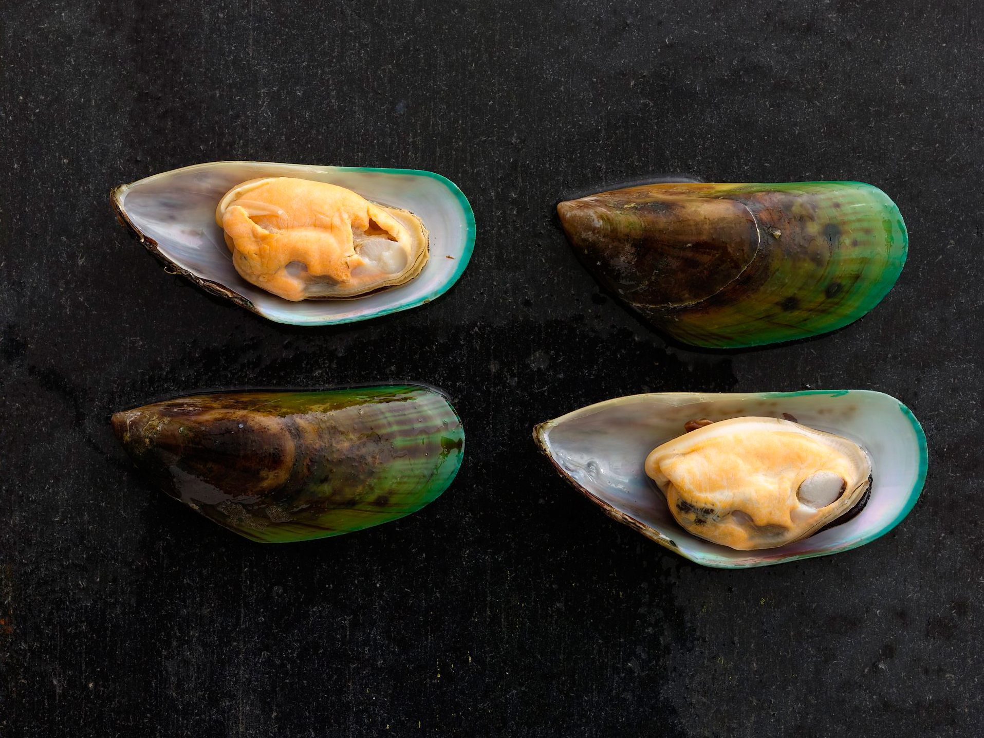 Mussels_324-cropped.jpg