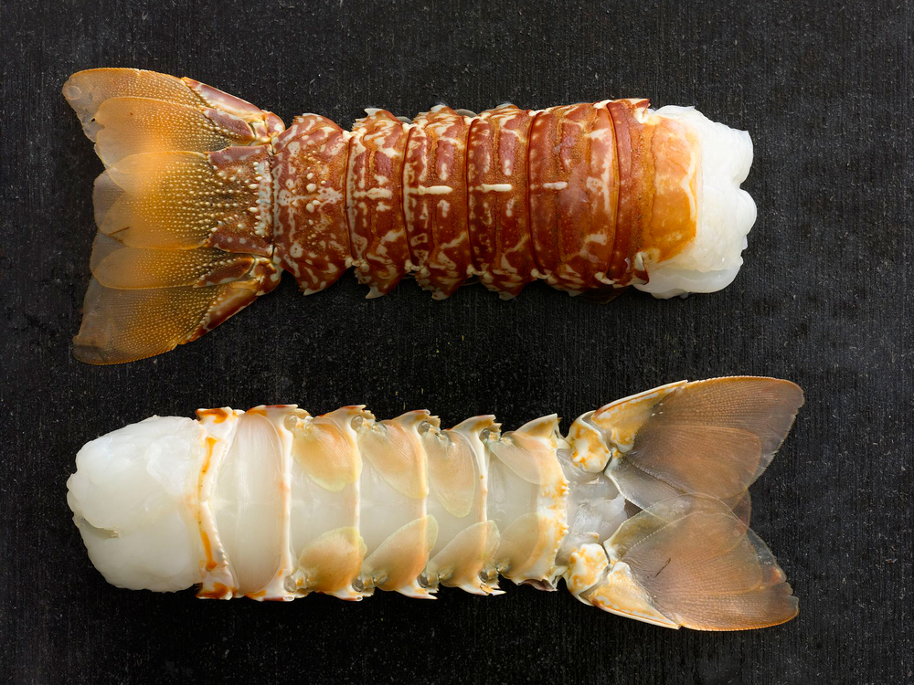 Lobster — MARKFOODS
