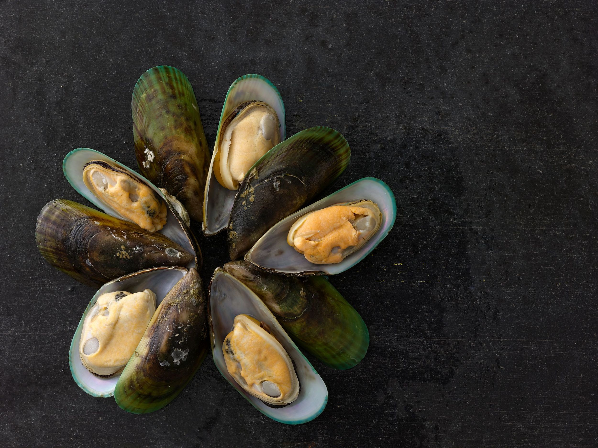 Mussels_329.jpg