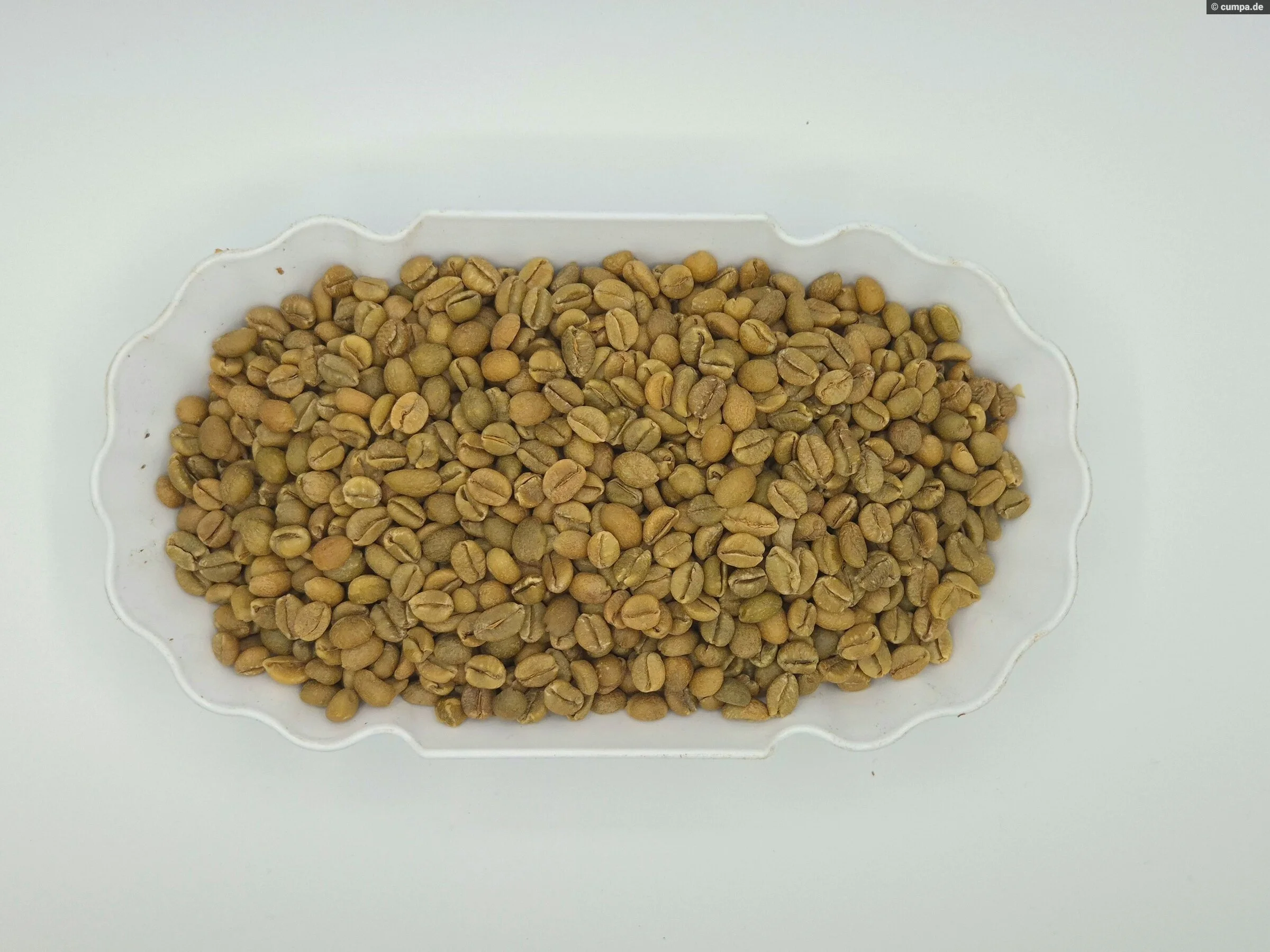 96b-anaerobic-natural_524368.jpg