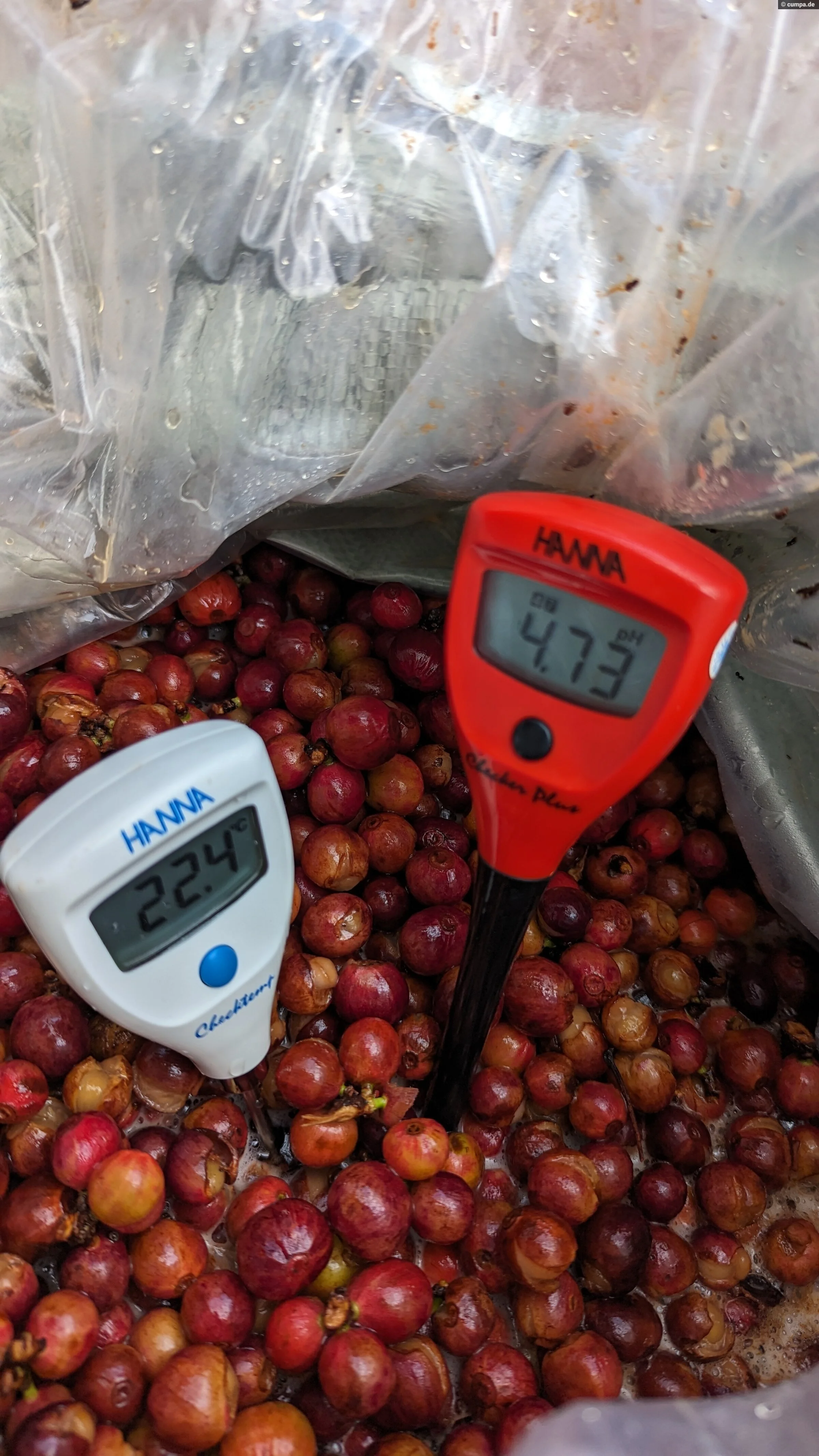 96b-anaerobic-natural_524370.jpg