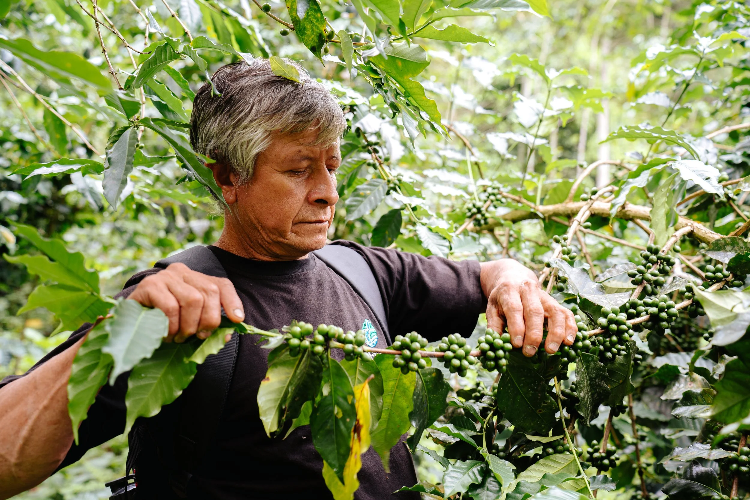 F. CASCADAS (102).jpg