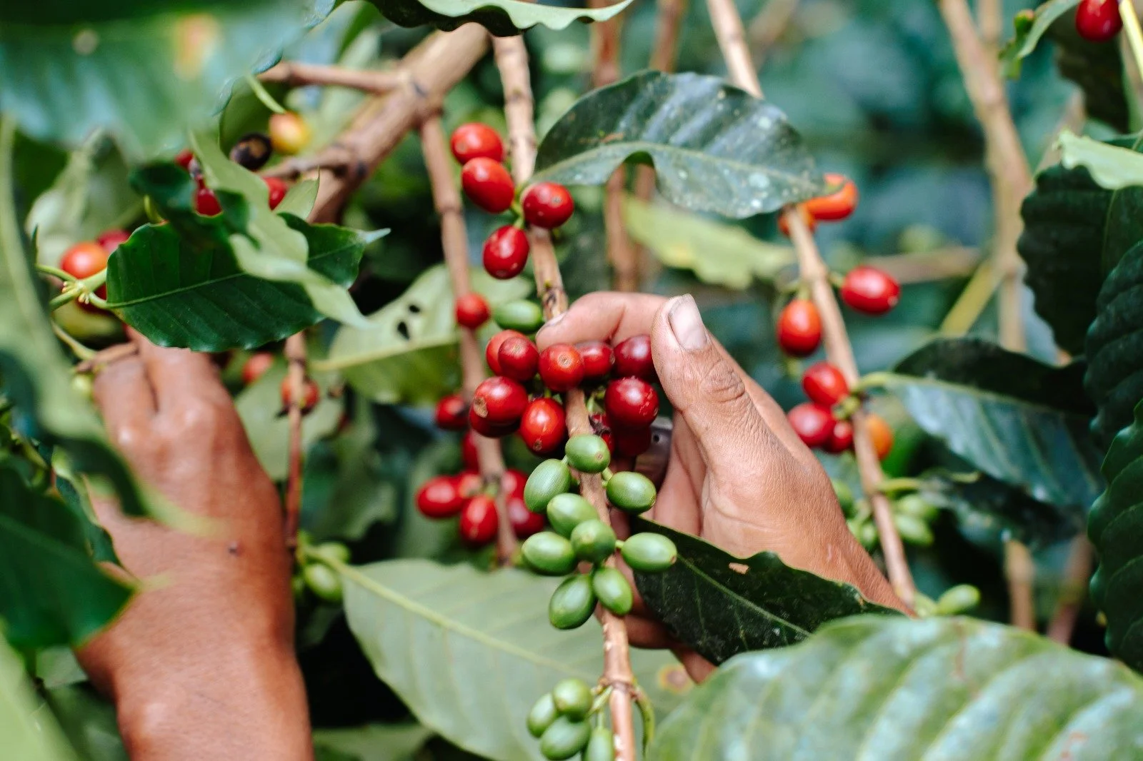 PHOTO-2025-10-21-15-11-08 2.jpg