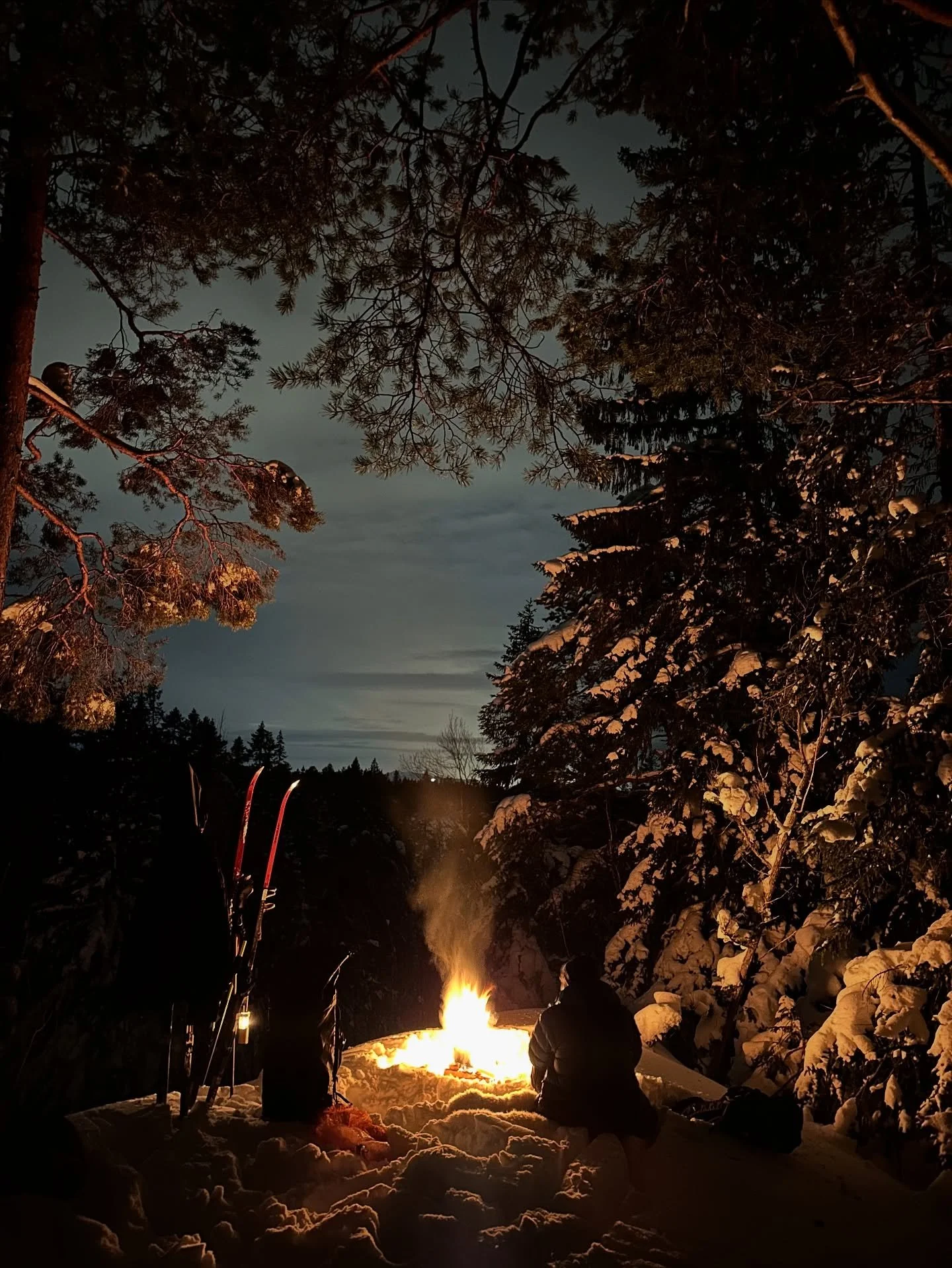 Tom for kaffe? Vi har masse digg &aring; velge mellom. Sjekk ut nettbutikken for &aring; finne ut mer. 
☕️🇨🇴🇲🇽🇪🇹🇰🇪🇨🇷🇵🇪🇧🇷☕️

langorakaffe.no

#kaffe #lang&oslash;rakaffe #specialtycoffeeroaster