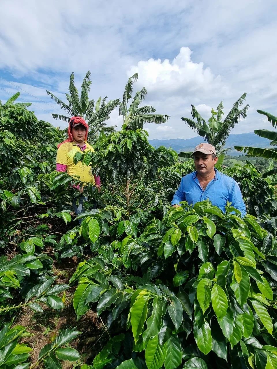 Ukens nyhet: El Recreo Caturron fra Colombia 🇨🇴🤩
Sykt god kaffe fra en produsent som ogs&aring; var med i kalenderen i fjor. ✨ Les mer i nettbutikken. 

langorakaffe.no