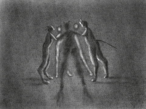 PL_5a.gif