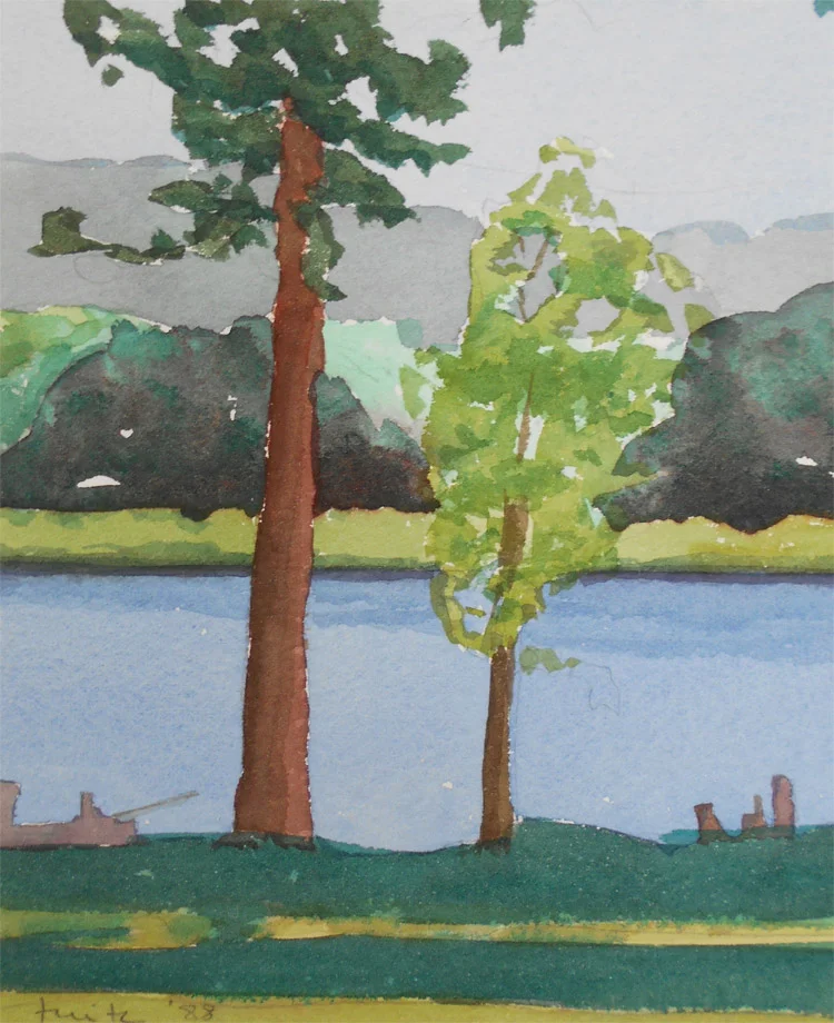 Trees by Lake Chautauqua, NY