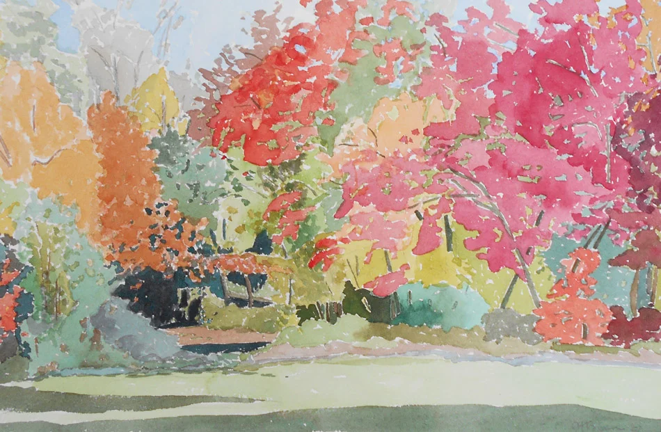 Our Pond in the Field, Granville, MA