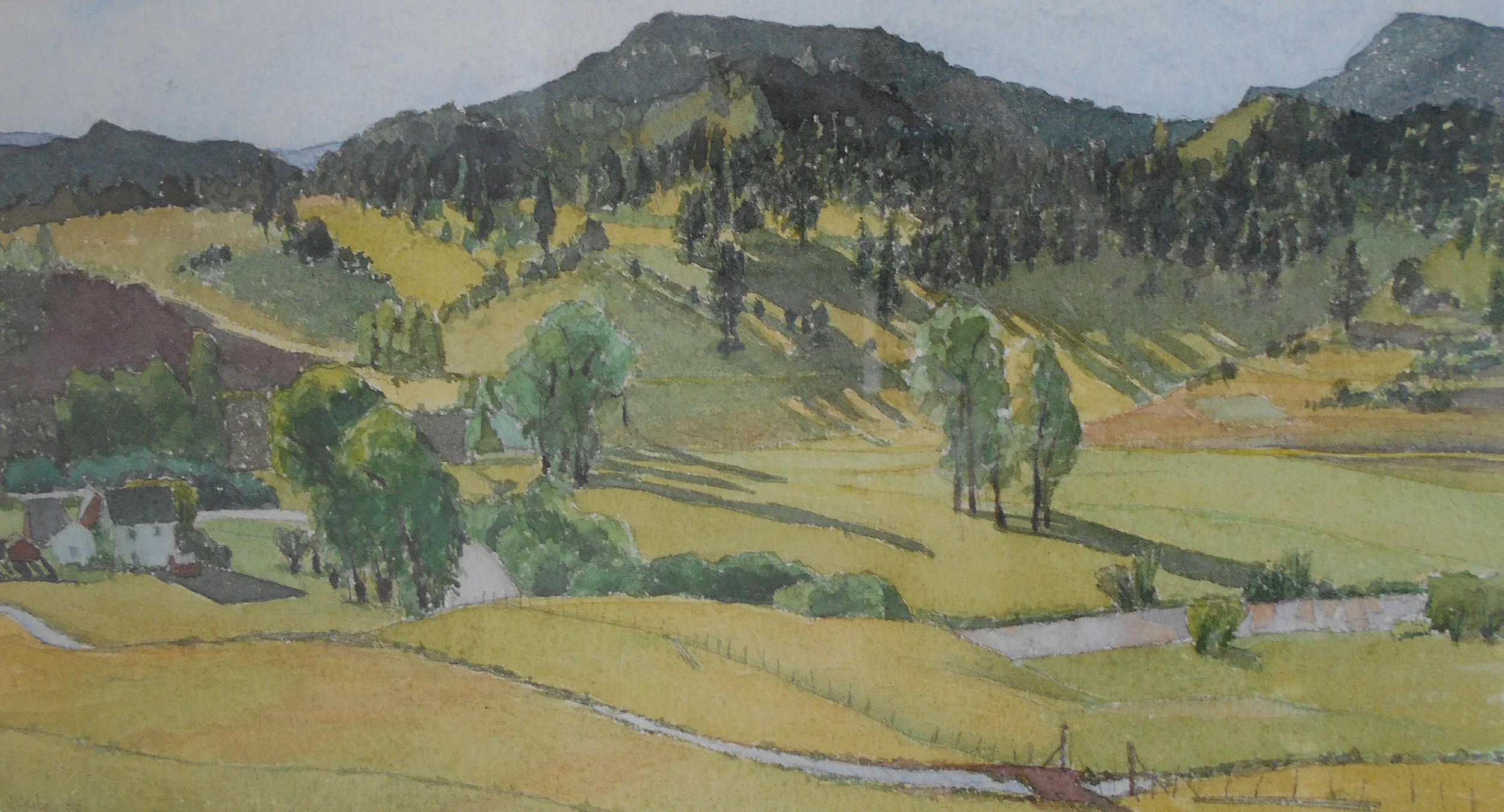 Cattle Ranch, Chromo, Colorado