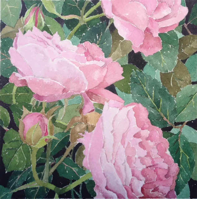 Aunt Dot's Roses
